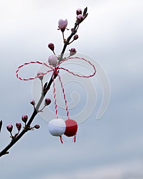 March 1, beginning of spring concept Red and white martenitsa on blossoming sakura or Japanese cherry. spring background