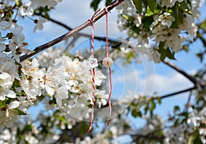 March bracelets hanging from a branch 