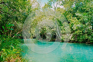 Rio Formoso, in the city of Bonito, in Mato Grosso do Sul. Bonito is one of the main ecotourism photo