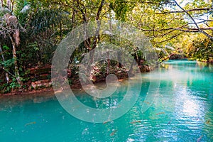 Rio Formoso, in the city of Bonito, in Mato Grosso do Sul photo