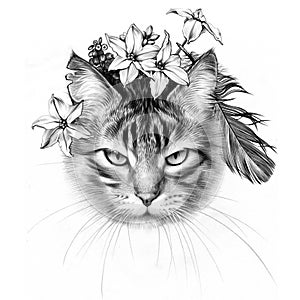 March Cat with Bird feather. Quill. Pencil Drawing.