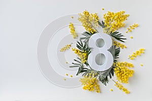 8 march greeting card with fresh branch of mimosa spring flowers and number eight top view. International Women Day