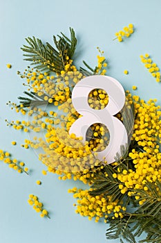 8 march greeting card with fresh branch of mimosa spring flowers and number eight top view. International Women Day