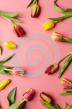 8 March, International Women`s Day. Figure eight of blue ribbon with tulips. Space for text