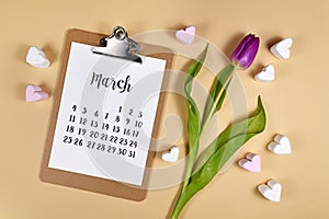 March month concept with clipboard with calendar sheet, purple tulip spring flower and hearst on cream colored background