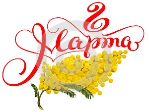 March 8 type translated from Russian. Yellow acacia flower symbol of womens day photo