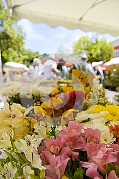 Marche aux Fleurs in Nice, France photo