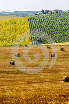 Marches (Italy), landscape