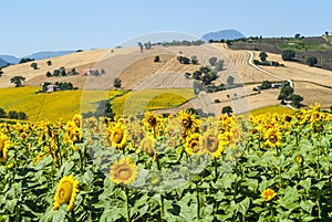 Marches (Italy), landscape