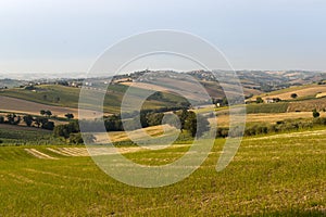 Marches (Italy) - Landscape at summer