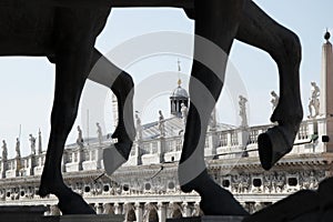 Marciana Library, in the Piazzetta San Marco in Venice