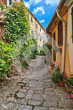 Marciana village - Elba Island photo