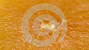 Marco shot of orange fruit and rotate.Close up flesh citrus orange. Nature background