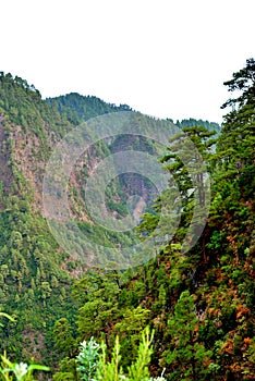 Marcos y Cordero, La Palma, Canary Islands