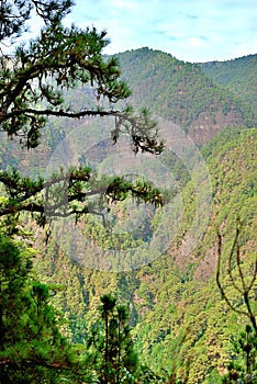 Marcos y Cordero, La Palma, Canary Islands