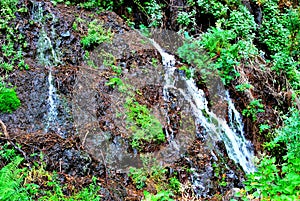 Marcos y Cordero, La Palma, Canary Islands