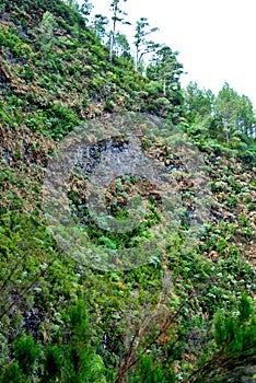 Marcos y Cordero, La Palma, Canary Islands