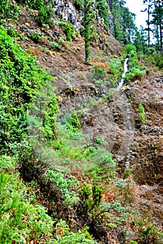 Marcos y Cordero, La Palma, Canary Islands