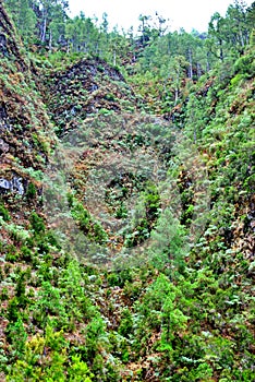 Marcos y Cordero, La Palma, Canary Islands