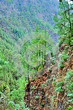 Marcos y Cordero, La Palma, Canary Islands