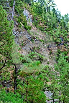 Marcos y Cordero, La Palma, Canary Islands