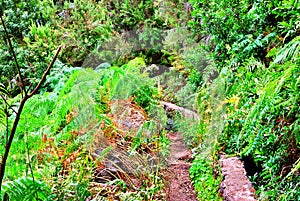 Marcos y Cordero, La Palma, Canary Islands