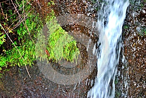 Marcos y Cordero, La Palma, Canary Islands