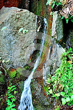 Marcos y Cordero, La Palma, Canary Islands