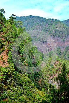 Marcos y Cordero, La Palma, Canary Islands