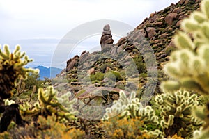 Marcus Landslide Trail at McDowell Mountains