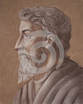 Marcus Terentius Varro an ancient Roman scholar and writer. Also known as Varro Reatinus.