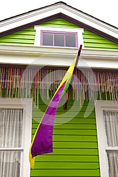 Mardi Gras House Detail