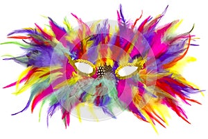 Mardi Gras mask