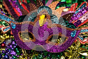 Mardi Gras Mask