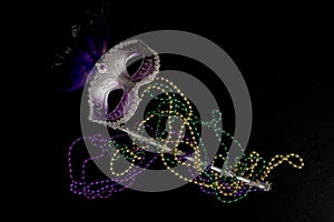 Mardi Gras Mask