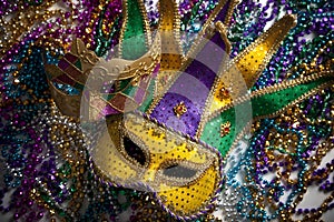 Mardi Gras Mask and Beads