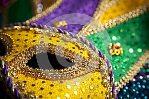 Mardi Gras Mask and Beads