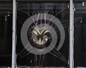 Mardi Gras Mask - Color photo