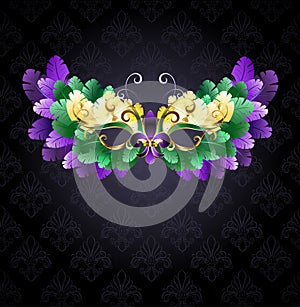 Mardi Gras mask of feathers