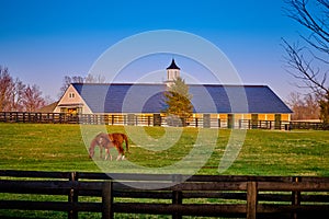 A mare and foal grazing on early spring grass with horse barn in the background