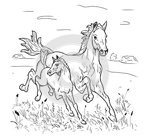 Mare and foal hurry on steppe