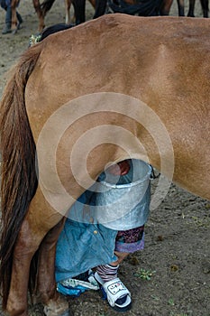 Mare milk in the desert of mongolia