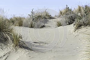 Maremma Natural Park beach