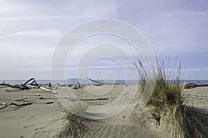 Maremma Natural Park beach