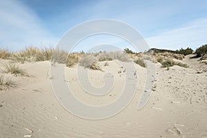 Maremma Natural Park beach