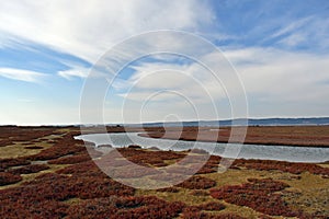 Lagoon, marshy environments are found near the mouth of Kavak stream, Gelibolu, Turkey, Gulf of Saros photo