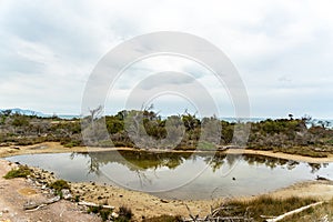 Maremma TOscana, Italy the park photo