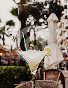 margarita cocktail made with tequila, salt and lime served in a martini glass