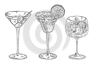 Margarita and gin tonic cocktail. Martini drink with olive. Vintage engraving