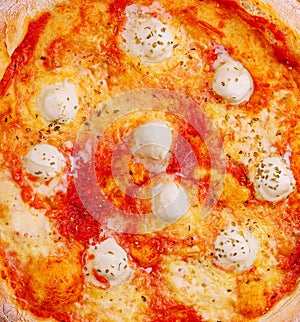 margherita pizza with mozzarella and tomato sauce